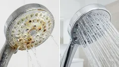 Jak odstranit vodní kámen ze sprchové hlavice? Tato domácí řešení ze 2 produktů vám vrátí tlak vody.
