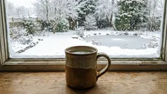 Na parapet jsme postavili hrnek s vodou: kdo ví proč?