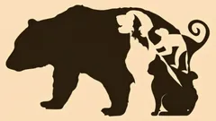 Tento obrazový test vám pomůže zjistit, které z vašich nejvýraznějších osobnostních rysů jsou pro vás charakteristické a které vám brání v interakci s ostatními.