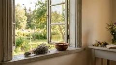 Komáři a komáři vás již nebudou štípat ani vlétávat do vašeho domova. Jednoduchý trik, o kterém by měl vědět každý